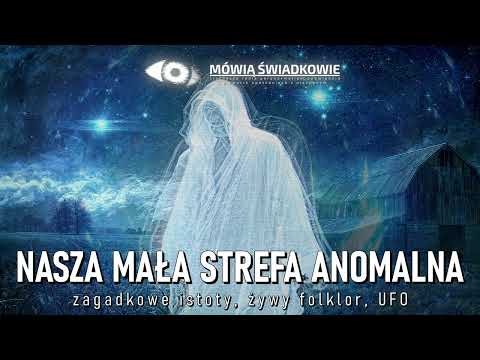 Nasza mała strefa anomalna || Mówią Świadkowie - Odc. 74