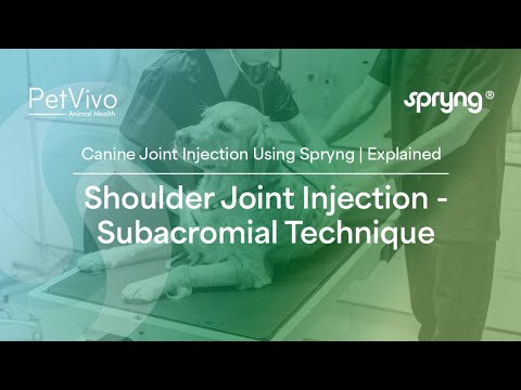 Canine Shoulder Joint Injections | Subacromial Injection Technique Explained