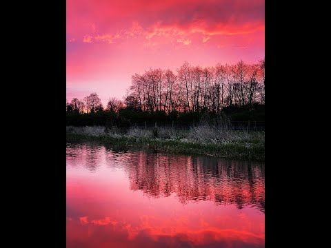 Tonal Bleed – The Lost (YouTube)