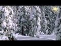 Слайд-шоу: Падал белый снег, А. Руденко. Международный конкурс ФотоШОУ 