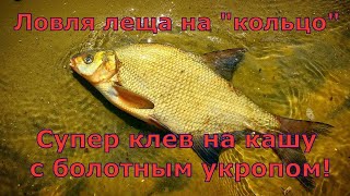 Ссылка