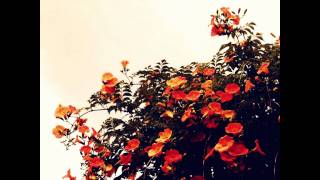 Be Still - Sarah Fimm