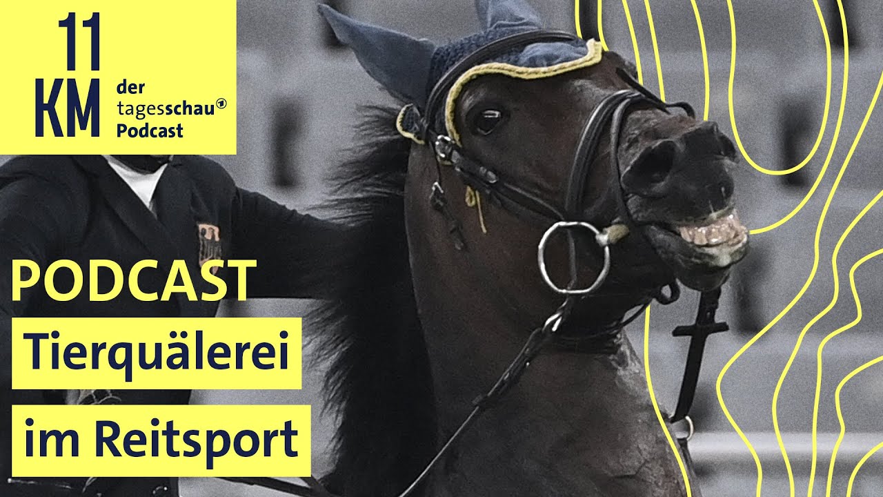 Auf dem Rücken der Pferde - Tierquälerei im Reitsport