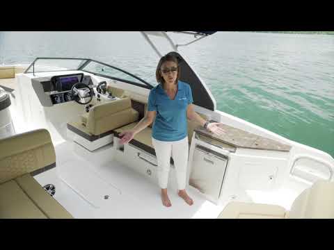 2018 Sea Ray SDX 290 Outboard Video