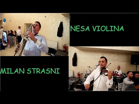 KOLO NA LEDINAMA / Nesa Violina / Mija / Zeljko Belegis / Milan Strasni