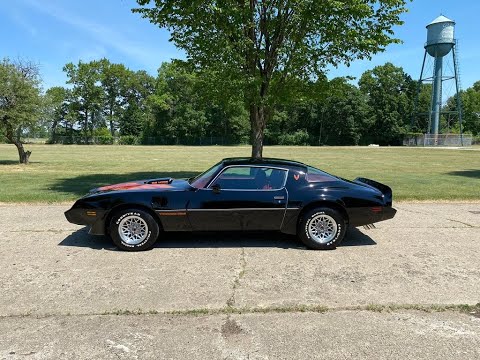 1979 Pontiac Firebird (CC-1346049) for sale in Shelby Township, Michigan