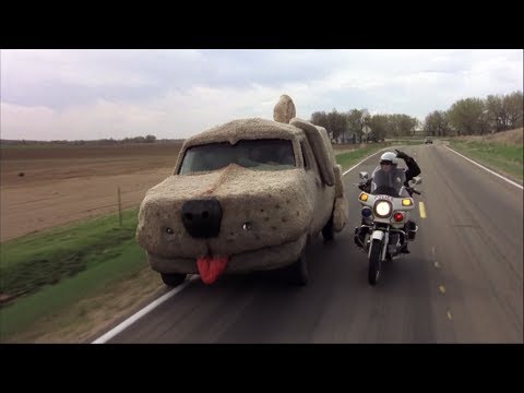 Dumb And Dumber 1994
