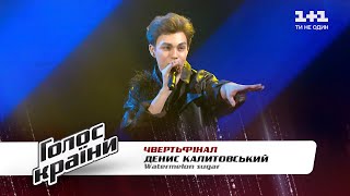 Денис Калитовский —