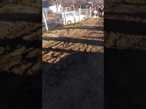 Moșnegii POPEȘTI 2019