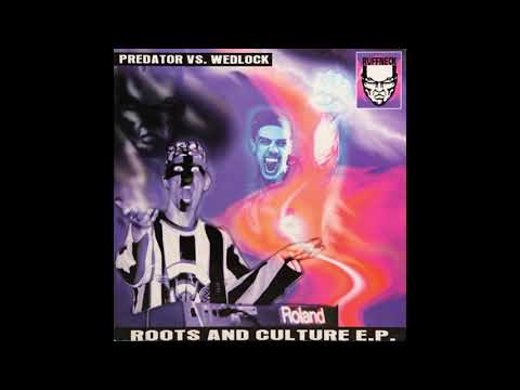 Predator vs Wedlock - Pump The Vibe - Ruffneck Records ‎– RUF033-5