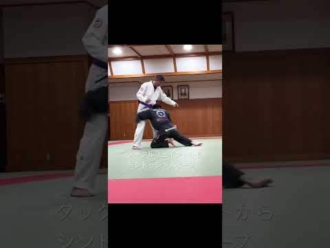 タックルフェイントからシントゥシンスイープ #ブラジリアン柔術 #柔術 #jiujitsu