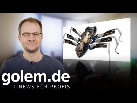 Wochenrückblick KW 16 2015: Ein Zombie, Insekten und Lollipop