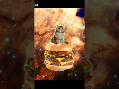 finally did this trend....#raedssketchbook #cats