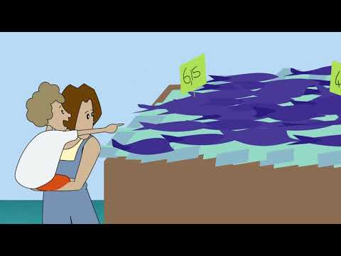 VIDEO ANIMATION OCEAN CLEANUP