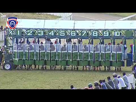 RM27 R4 - Why Wouldn't Yew