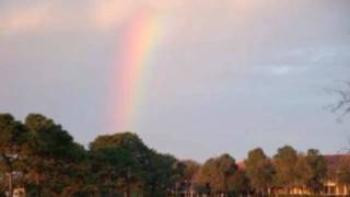 NEW PET LOSS SONG!  RAINBOW BRIDGE (comfort for loss of a pet)