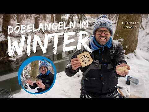 Döbelangeln im Winter - Erfolgreiches Angeln mit Brot