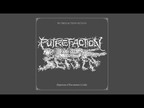 PUTREFACTION SETS IN - Dispersion of Post-mortem Lividity - (OFFICIAL SINGLE 2021)