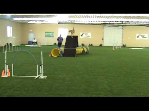 2012-01-28-Maxi-Reg2.mp4