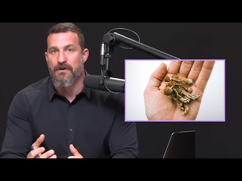 Andrew Huberman on How To Microdose Mushrooms