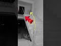 Real Bhoot At Construction Building Shorts Bhoot Viral