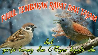 Download lagu Gereja tarung dan Tepus kepala abu 🔥🔥 tembakan rapat dan tajam mp3 Download lagu Gereja tarung dan Tepus kepala abu 🔥🔥 tembakan rapat dan tajam mp3