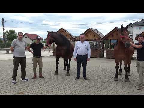 Anunt de expozitie Bixad, Satu Mare pe data de 26 Iulie 2023 Nou!!!