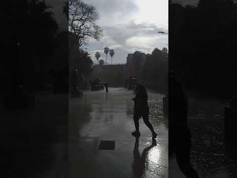 Aguacero.Lluvia.Temporada Invierno.Plaza Botero.Medellin Colombia.Paisa Mojada.Antioquia.Clima202405