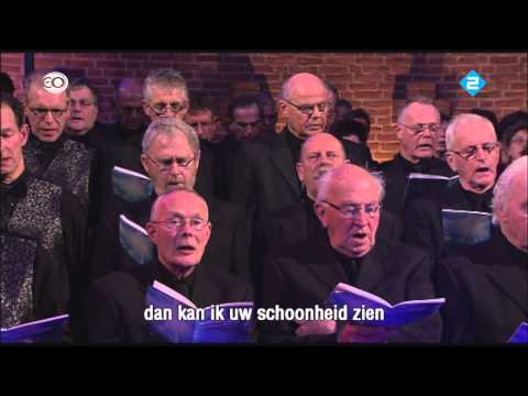 De kracht van uw liefde (Opwekking 488) - Nederland zingt op zondag 11-05-2014