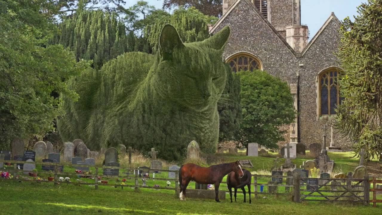 The Topiary Cat's Official Slideshow