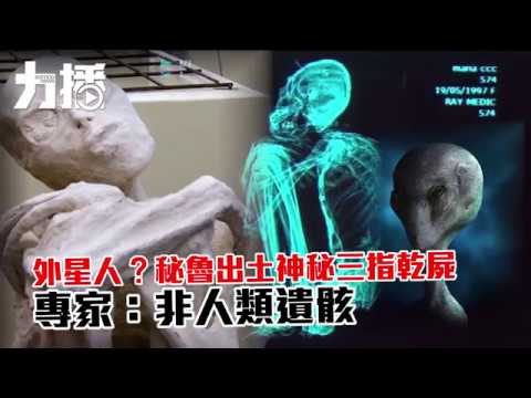 專家:非人類遺骸 專家:非人類遺骸