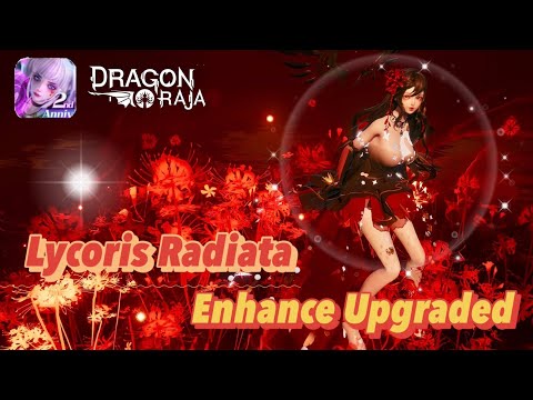 Dragon Raja Sea | Enhance Upgraded 🌺 - Lycoris Radiata .