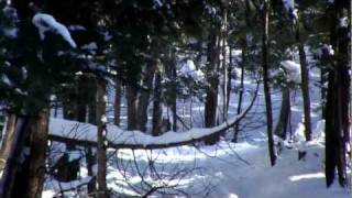 preview picture of video 'Muskoka First Day of Winter 2010'