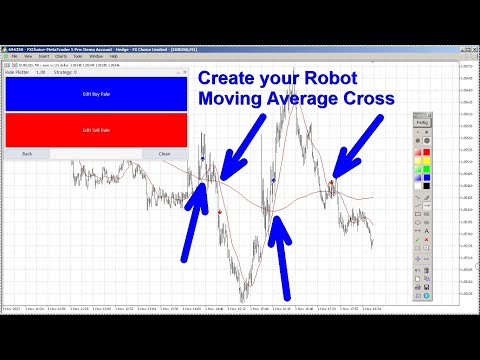 Video Rule Plotter Expert