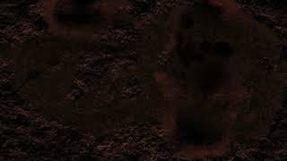 Kur - Walk With Me ft. Lihtz (OFFICIAL AUDIO)