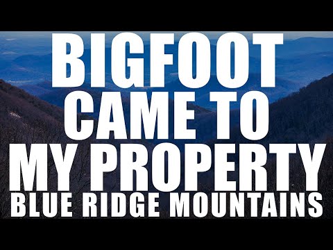 BIGFOOT SHOWED UP TO MY PROPERTY IN THE BLUE RIDGE MOUNTAINS | THIS CHANGED MY LIFE FOREVER!