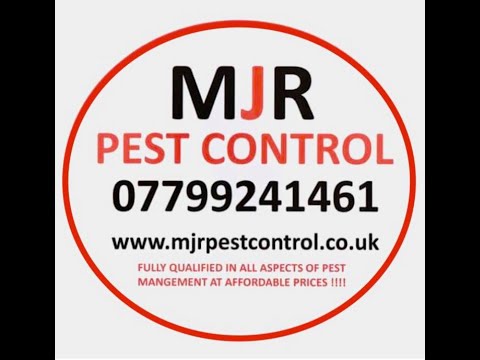 MJR Pest Control - Leeds, West Yorkshire - 07799 241461 | ShowMeLocal.com