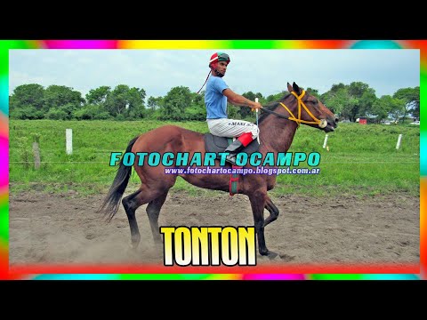 TONTON - La Leonesa - Chaco 10/03/2024