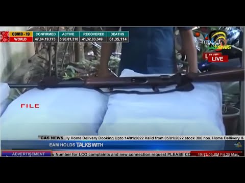 IMPACT NEWS ENGLISH BULLETIN                25 MARCH 2022