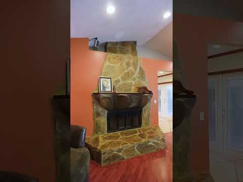 Agent Video