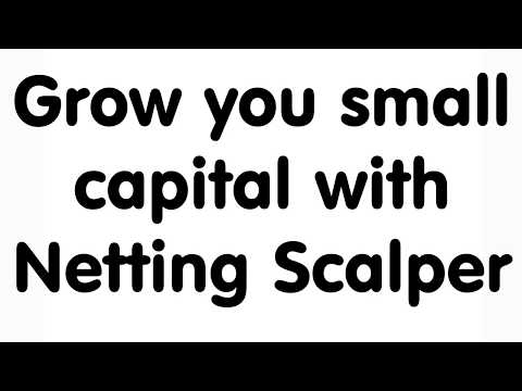 Video Netting Scalper