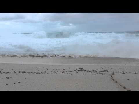 Preview of "Waves of Travel" by Talib Aleem