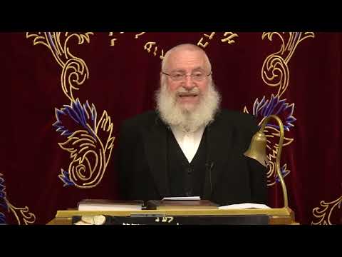 חשדה מראית עין | שיעור שבועי מאת הרב אשר וייס שליט"א (תשפ"ה)