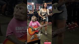 Download lagu Viral Monyet Main Gitar Akustik Dangdut Koplo di Cafe #empudstudio #empudstudiogrup #shorts mp3 Download lagu Viral Monyet Main Gitar Akustik Dangdut Koplo di Cafe #empudstudio #empudstudiogrup #shorts mp3