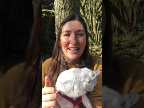 Frühlingstagundnachtgleiche - Jahreskreisfest