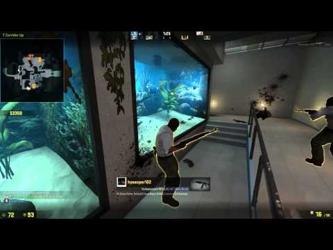 Steam Community :: Video :: Playing a round at the Zoo - CSGO