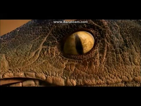 Raptors Tribute - Burn It Down