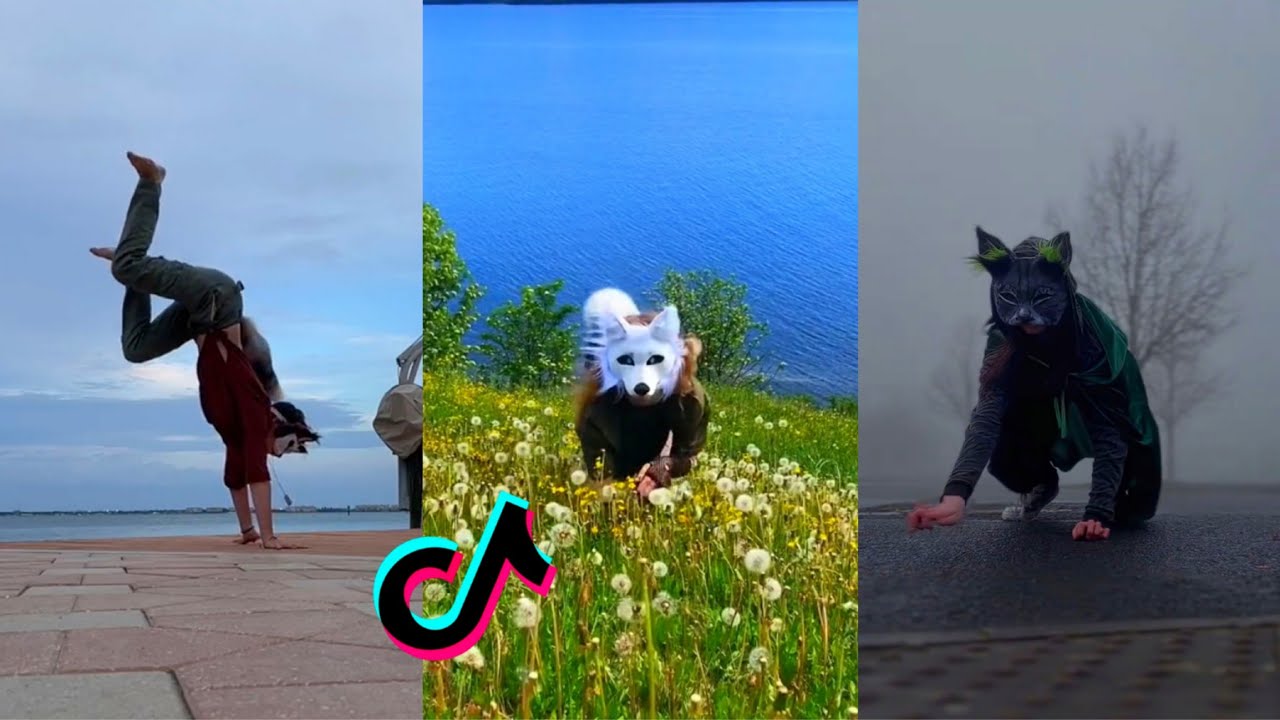 Therian TikTok Compilation #2😻