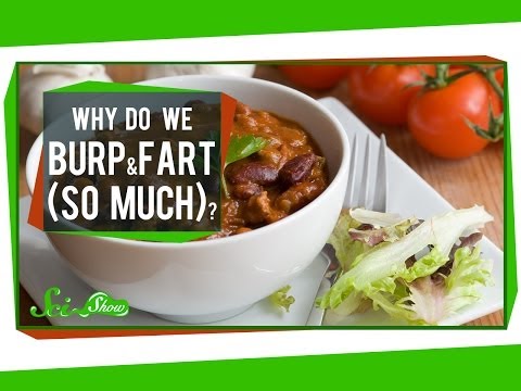 Why Do We Burp and Fart (So Much)?!