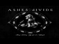 Ashes Divide - The Stone